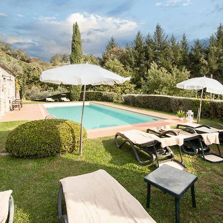 Casetta Di Butia, Ginestra Apartment With Swimming Pool Borgo a Mozzano Bagian luar foto