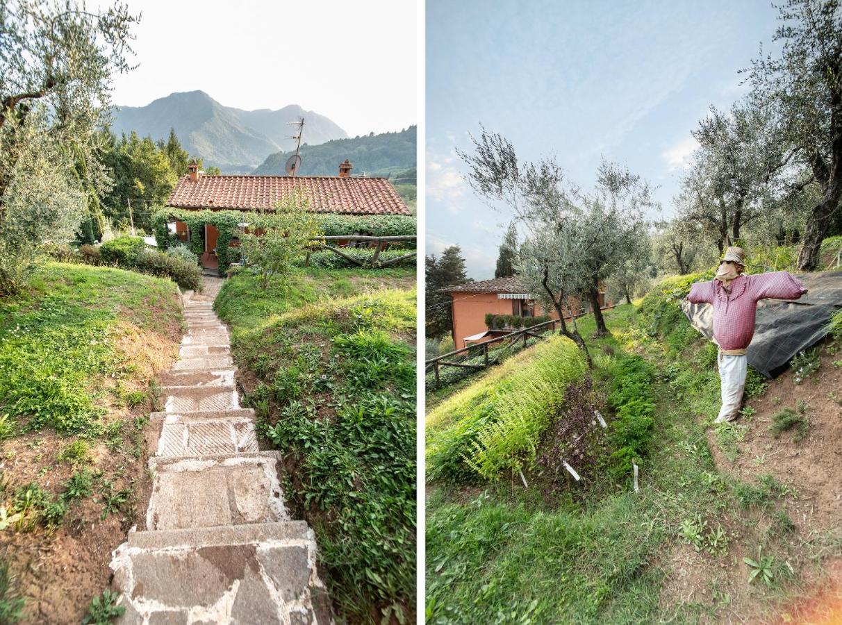 Casetta Di Butia, Ginestra Apartment With Swimming Pool Borgo a Mozzano Bagian luar foto