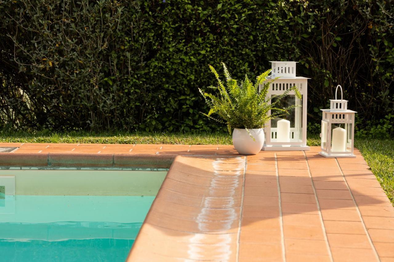 Casetta Di Butia, Ginestra Apartment With Swimming Pool Borgo a Mozzano Bagian luar foto
