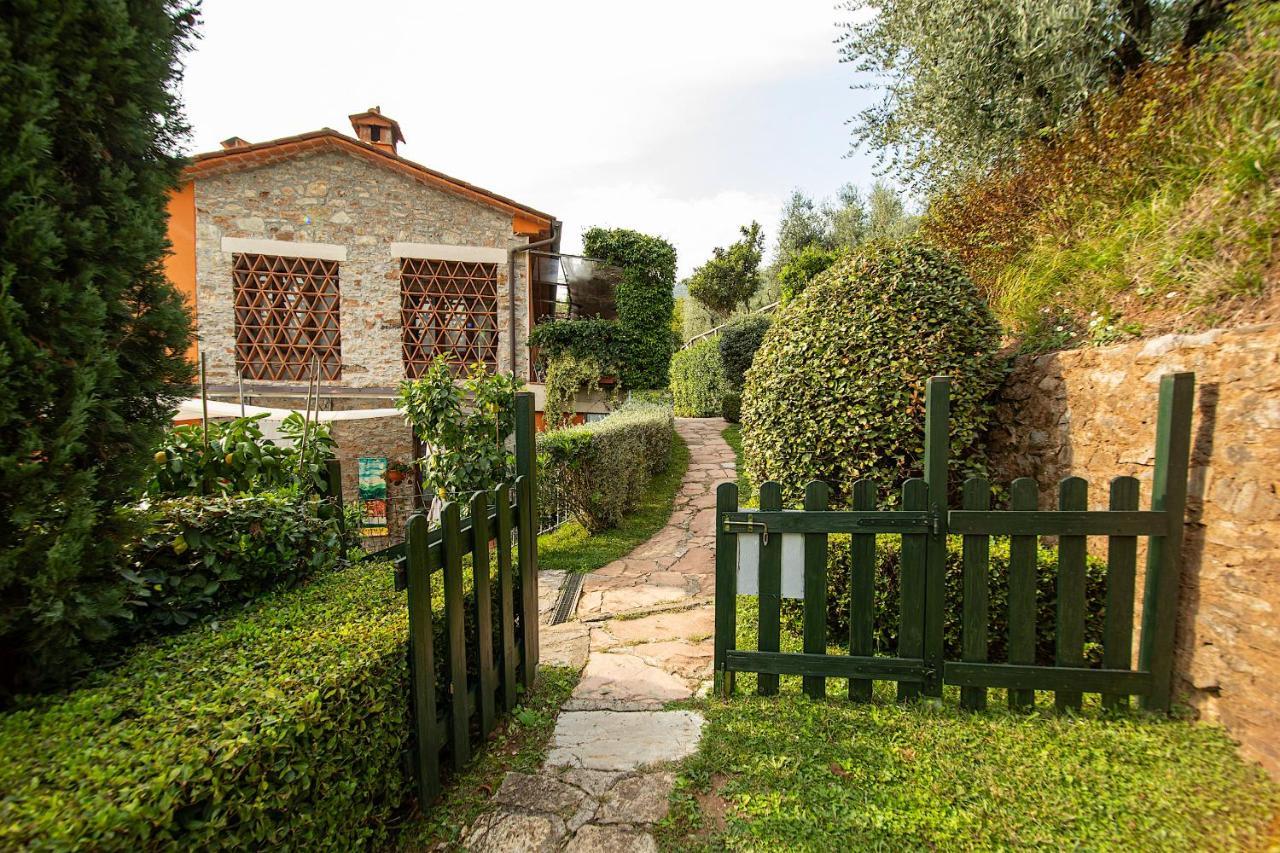 Casetta Di Butia, Ginestra Apartment With Swimming Pool Borgo a Mozzano Bagian luar foto