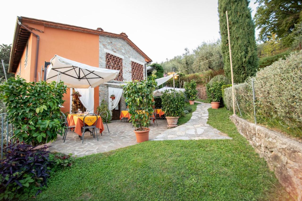 Casetta Di Butia, Ginestra Apartment With Swimming Pool Borgo a Mozzano Bagian luar foto