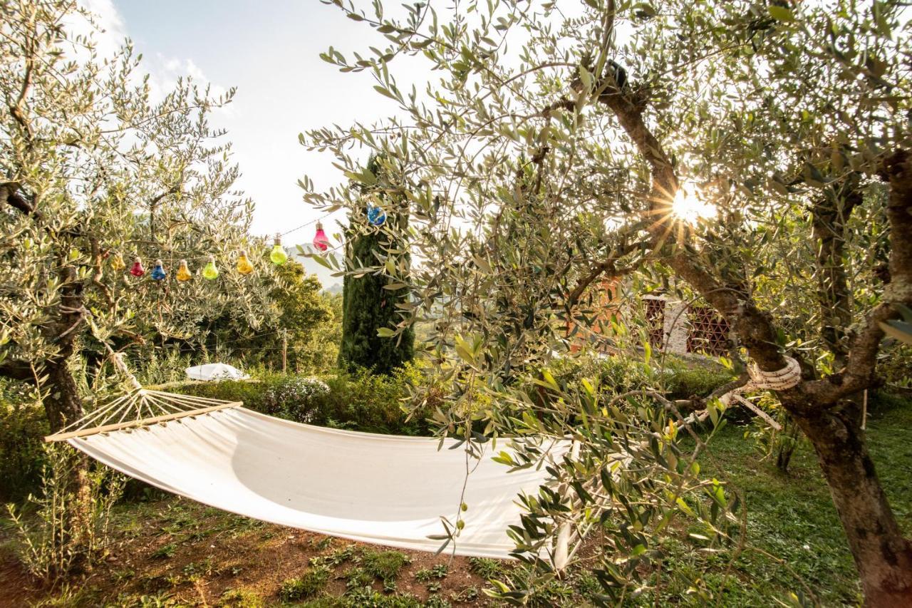 Casetta Di Butia, Ginestra Apartment With Swimming Pool Borgo a Mozzano Bagian luar foto