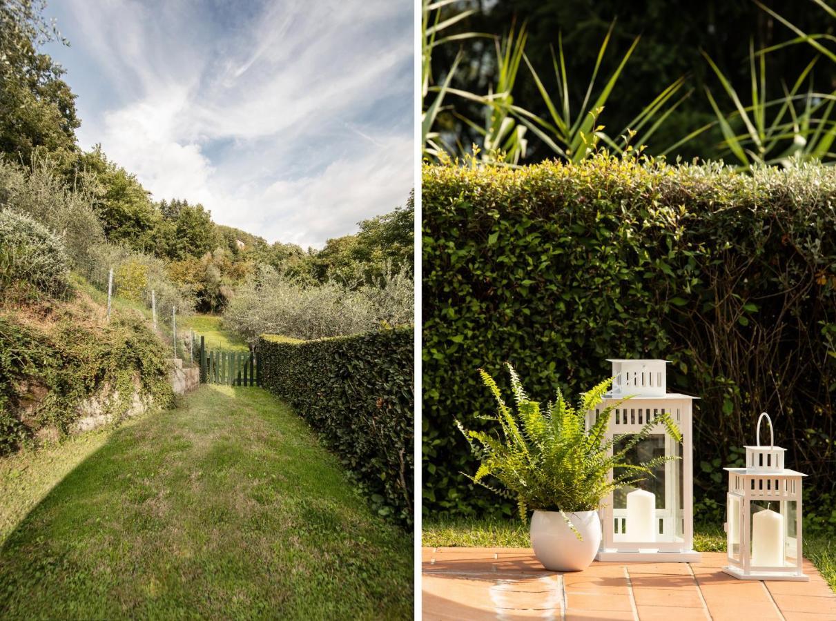 Casetta Di Butia, Ginestra Apartment With Swimming Pool Borgo a Mozzano Bagian luar foto