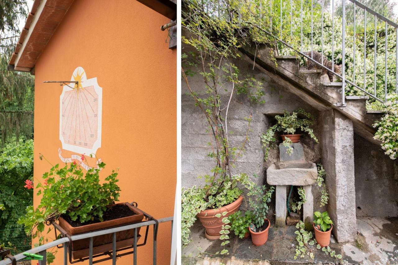Casetta Di Butia, Ginestra Apartment With Swimming Pool Borgo a Mozzano Bagian luar foto