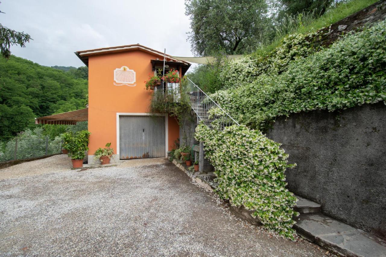 Casetta Di Butia, Ginestra Apartment With Swimming Pool Borgo a Mozzano Bagian luar foto