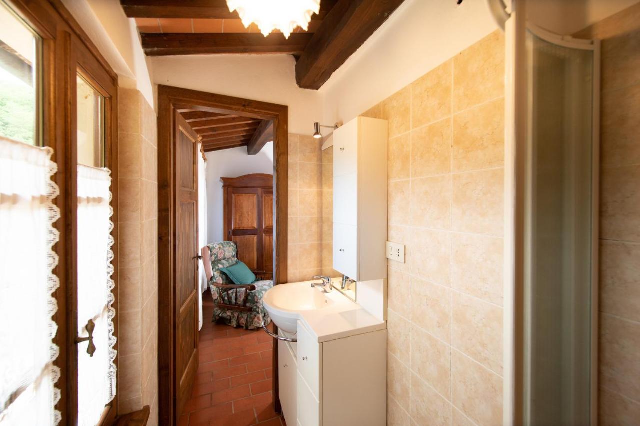 Casetta Di Butia, Ginestra Apartment With Swimming Pool Borgo a Mozzano Bagian luar foto